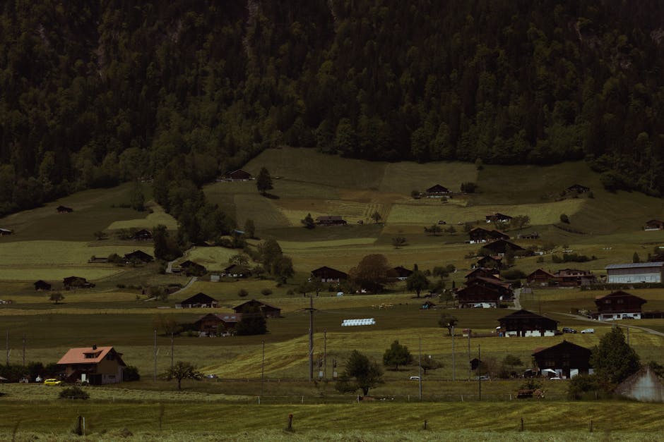 Idyllic countryside village with traditional houses nestled in green fields and surrounded by forested hills.